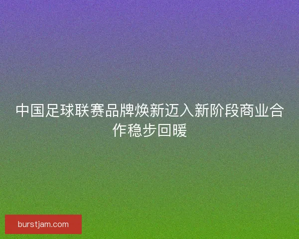 中国足球联赛品牌焕新迈入新阶段商业合作稳步回暖